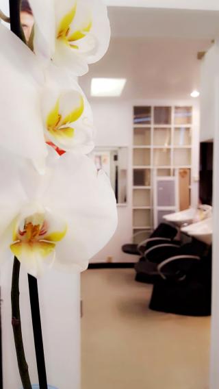 Salon de Manucure JesLi 0