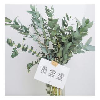 Salon de Manucure Escale beauté 0