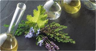 Salon de Manucure Institut de beauté, bien être et anti âge à Toulon Ylang Ylang 0