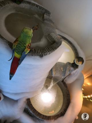 Salon de Manucure Cassiopée Spa Institut Beauté 0