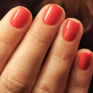 Salon de Manucure Le bar à ongles... by V 0