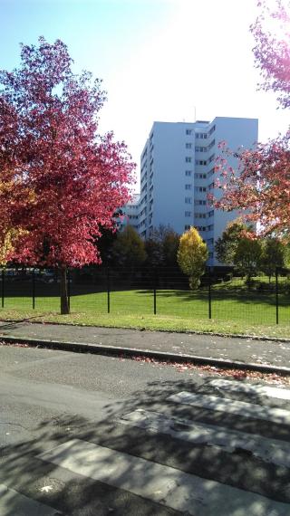 Salon de Manucure Blanchard Angelique 0