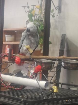 Salon de Manucure Amethyste 0