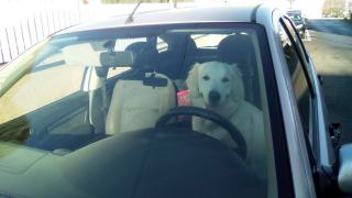 Salon de Manucure Ambre 0