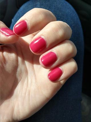 Salon de Manucure Passage Bleu - Quetigny 0