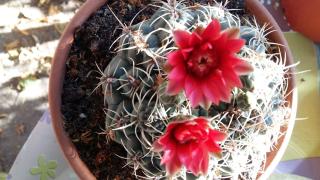 Salon de Manucure Yves Rocher 0