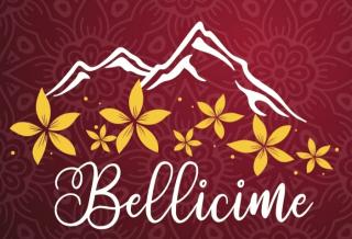 Salon de Manucure Bellicime 1