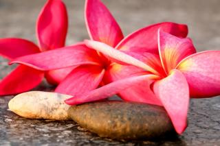 Salon de Manucure Spa Evasion 0