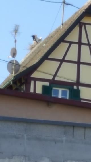 Salon de Manucure Institut Destination Beauté 0