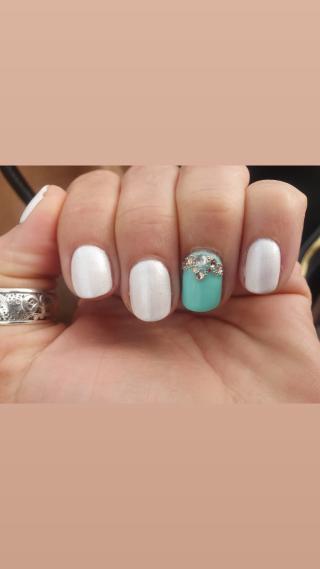 Salon de Manucure Ongles INAIL Gex 0