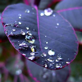 Salon de Manucure Institut Valérie 1