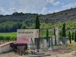 Salon de Manucure De la vigne a la Beauté 0