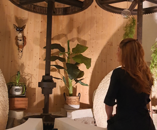 Salon de Manucure Nymphea MG 1