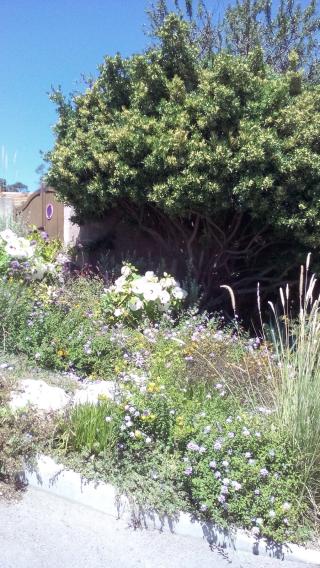 Salon de Manucure Esthéticienne A Domicile - Mathilde MALFOY 0