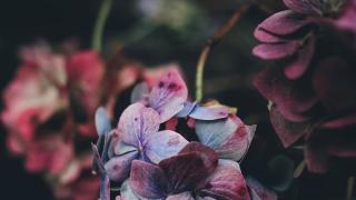 Salon de Manucure Aprile Institut 0