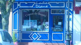 Salon de Manucure Ladie diane 0