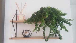 Salon de Manucure Bel'Instant Esthétique 0