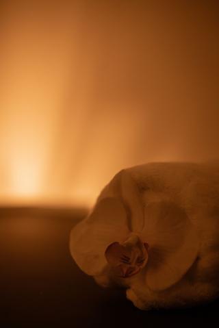 Salon de Manucure Espace Beauté & Spa Thalgo 0