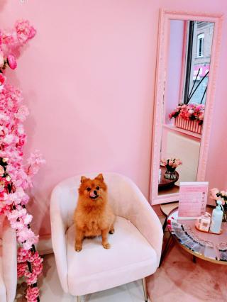 Salon de Manucure Pose entre filles ( Sarah Nail'S ) 0