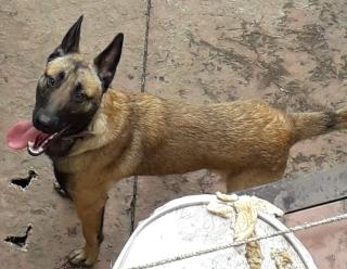 Salon de Manucure Nocibé - MAUBEUGE 0