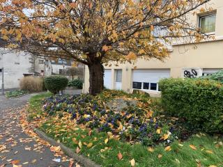 Salon de Manucure Sourire de fleur 0