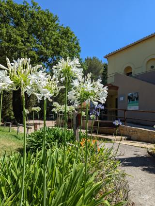 Salon de Manucure Edc Spa Management 0