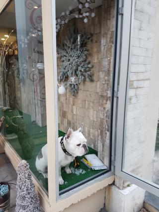 Salon de Manucure Femmes Pressées 0