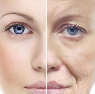 Salon de Manucure Quinn Revealer 0