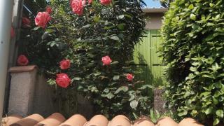 Salon de Manucure Scotto Jocelyne 0