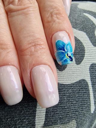 Salon de Manucure BGD esthetique & formation 0