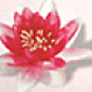 Salon de Manucure Galactee 0