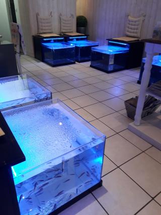 Salon de Manucure à fleur de peau-fish spa 0