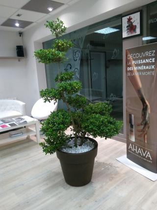 Salon de Manucure Institut Joali 0