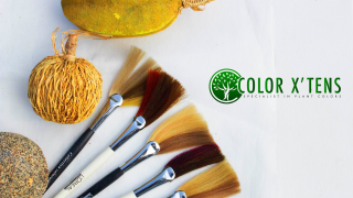 Salon de Manucure Color X'tens Coiffure - Perruques 0