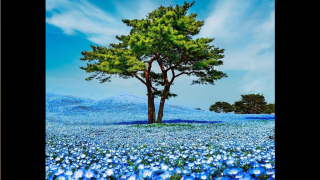 Salon de Manucure Institut Fanny Beauté 0