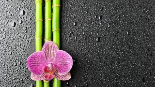 Salon de Manucure L' Evasion Des Sens 0