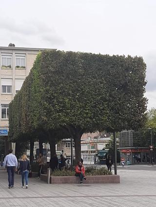 Salon de Manucure Nocibé - DOUAI 0