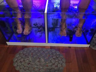 Salon de Manucure Le Fish Bar - Bar Aix-les-Bains 0