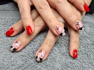 Salon de Manucure Les Ongles D ALBINA 0