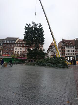 Salon de Manucure D'alberto Haute Coiffure 0