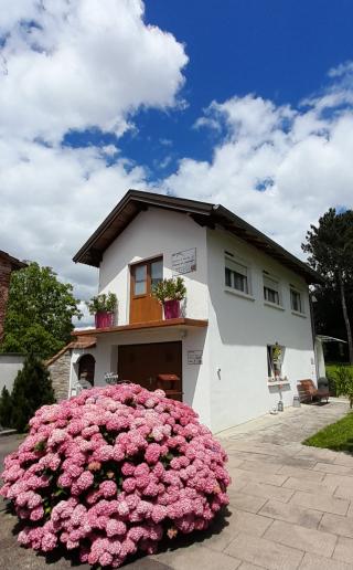 Salon de Manucure Source de Jouvence 2