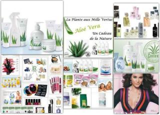 Salon de Manucure LR beauté santé 0