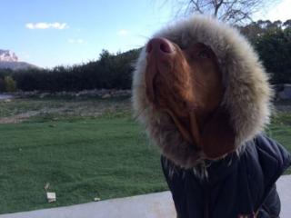 Salon de Manucure S.a.r.l Shape Cryo - Institut de beaute Venelles 0