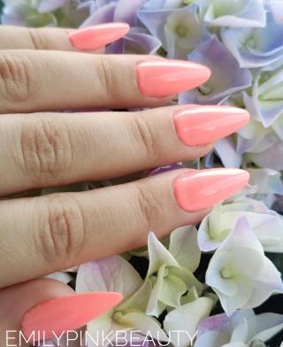 Salon de Manucure Emilypinkbeauty 2