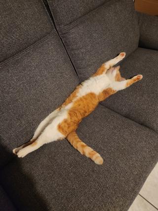 Salon de Manucure Les Fées d'or 0