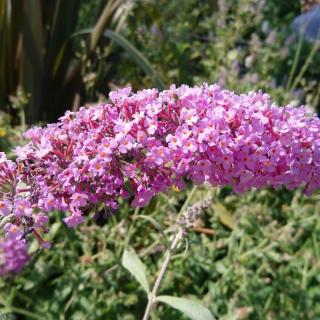 Salon de Manucure Taly nails 2