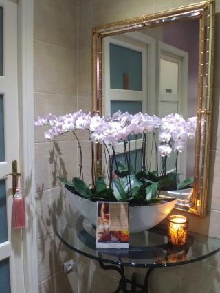 Salon de Manucure Sir & Lys SPA et BEAUTE. 0