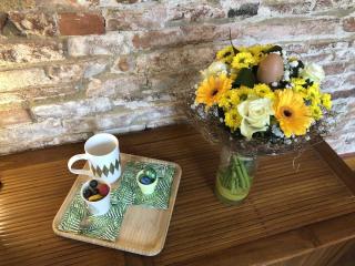 Salon de Manucure Haryana 0