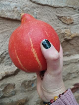 Salon de Manucure Ô Mont...Bien-Être 1