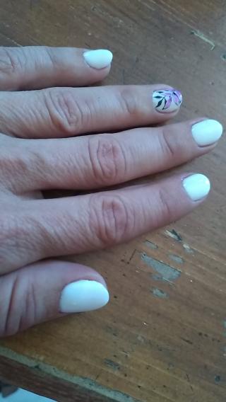 Salon de Manucure Octopus 0